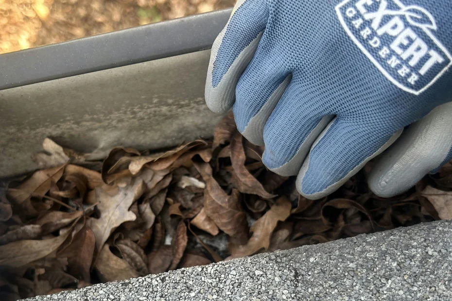 Gutter Cleaning Villa Hills